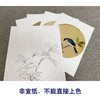 戴青池工笔画白描底稿荷花翠鸟一套四幅初学者尺寸35*35厘米TD05 商品缩略图2