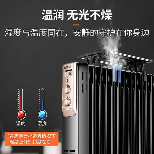 先锋(SingFun)家用取暖器电暖器电暖气节能低噪安全全屋速热加湿干衣 13片DYT-Z2 商品图1