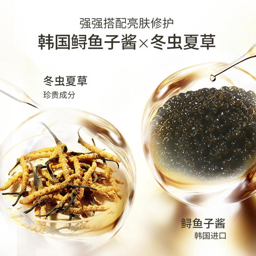 【 拍下立减150元】梵西虫草奢护御颜贵妇膏套装 50g+10ml×4支 商品图2