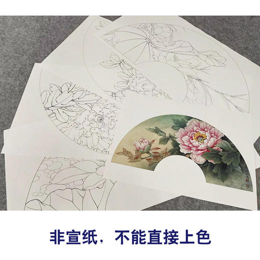 李晓明工笔花鸟画白描底稿牡丹荷花扇面小品一套四幅册页初学者尺寸32*63厘米TW04 商品图3