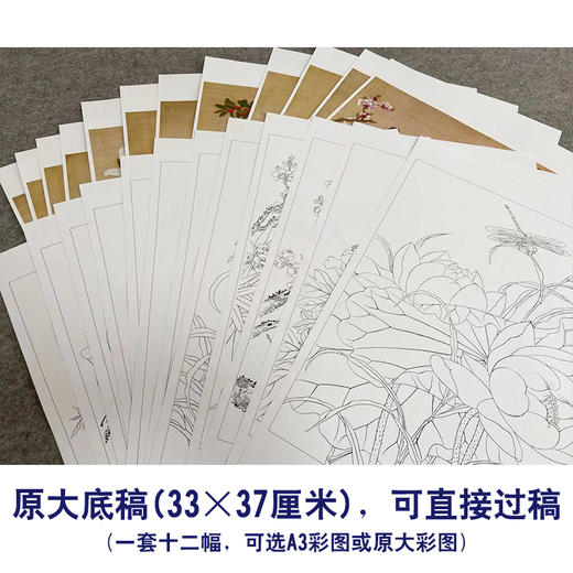 余稚工笔画白描底稿花鸟小品一套十二幅册页初学者尺寸33×37厘米YT00 商品图2