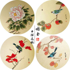 戴青池工笔画白描底稿牡丹翠鸟一套四幅初学者尺寸35*35厘米TD03