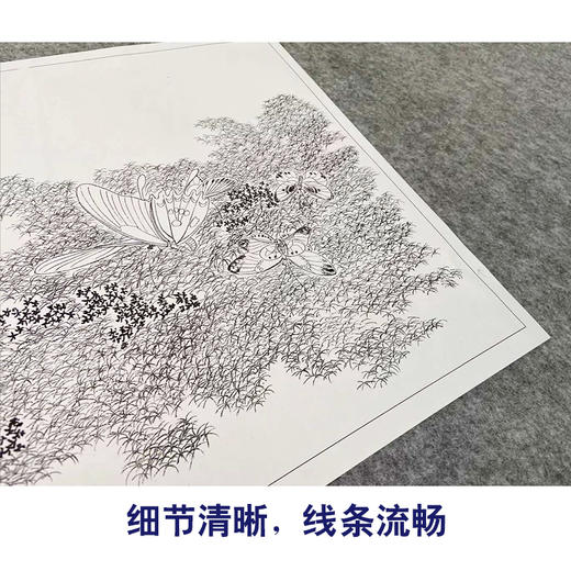 俞致贞工笔花鸟画白描底稿-百蝶图-蝴蝶小品一套十幅册页初学者尺寸42*30厘米BH00 商品图4