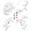 戴青池工笔画白描底稿牡丹翠鸟一套四幅初学者尺寸35*35厘米TD03 商品缩略图1