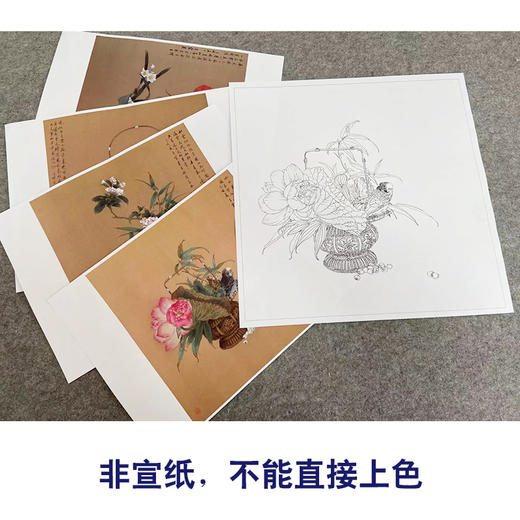 王震工笔花鸟画白描底稿桃花牡丹小品一套四幅册页原大42×42厘米花鸟线稿TA03 商品图3