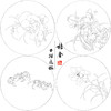 张莉莉工笔画白描底稿鹦鹉螃蟹一套四幅初学者尺寸35*35厘米-TZ03 商品缩略图1