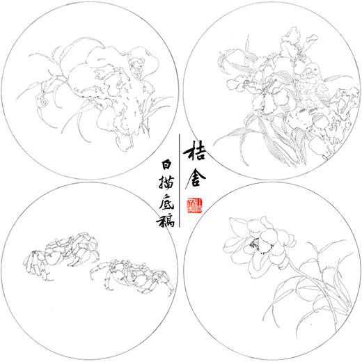 张莉莉工笔画白描底稿鹦鹉螃蟹一套四幅初学者尺寸35*35厘米-TZ03 商品图1