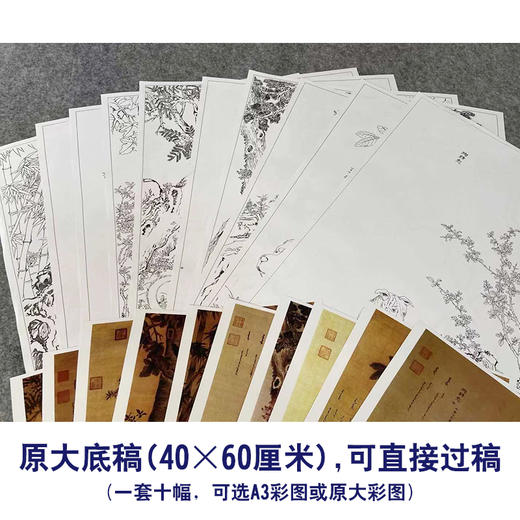 郎世宁工笔动物画白描底稿斑锦彪雪爪庐小品一套十幅册页尺寸40*60厘米GG01 商品图2