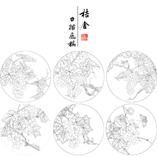 於文普工笔花鸟画白描底稿葡萄小品一套六幅册页尺寸42×42厘米花鸟线稿TA02 商品图1
