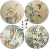 潘磊工笔画白描底稿菊花雀鸟一套四幅初学者尺寸42*42厘米TL05 商品缩略图0