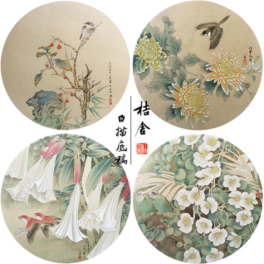 潘磊工笔画白描底稿菊花雀鸟一套四幅初学者尺寸42*42厘米TL05 商品图0