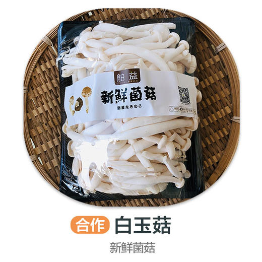 赞字村白玉菇 商品图0
