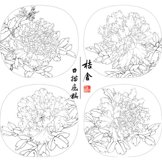 李晓明工笔花鸟画白描底稿牡丹小品团扇一套四幅册页初学者尺寸39*42厘米TW06 商品图4