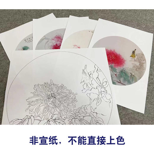王震工笔花鸟画白描底稿牡丹翠鸟小品一套四幅册页初学者尺寸42×42厘米TA04 商品图3