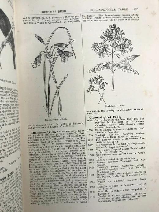 1925年 澳大利亚图解百科全书（全2卷） 数百幅插图 漆布精装16开 商品图6