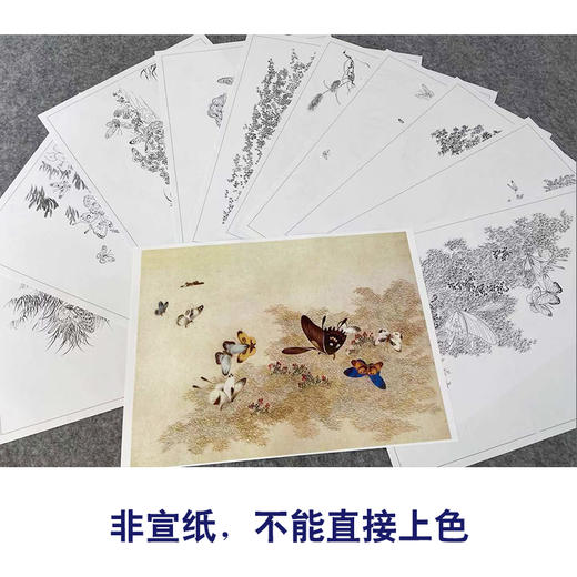俞致贞工笔花鸟画白描底稿-百蝶图-蝴蝶小品一套十幅册页初学者尺寸42*30厘米BH00 商品图3