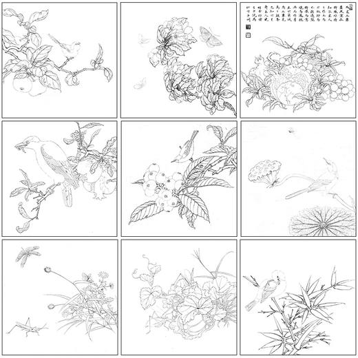 李晓明工笔花鸟画白描底稿翠鸟石榴斗方小品一套九幅册页初学者尺寸35×35厘米TW09 商品图1