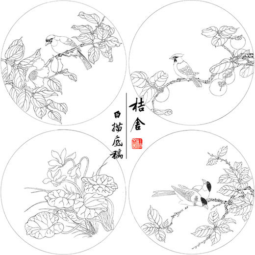 戴青池工笔画白描底稿荷花一套四幅初学者尺寸35*35厘米TD06 商品图1