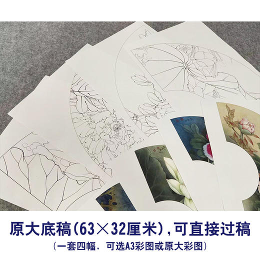 李晓明工笔花鸟画白描底稿牡丹荷花扇面小品一套四幅册页初学者尺寸32*63厘米TW04 商品图2