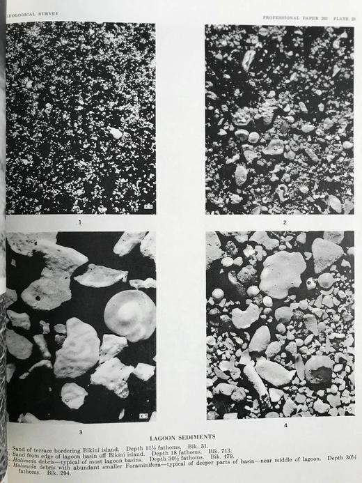 比基尼岛与附近环礁地质学 157幅插图（含多张展开图纸） 平装大16开带书匣 商品图7