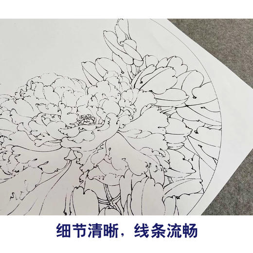 李晓明工笔花鸟画白描底稿牡丹蝴蝶一套四幅册页初学者尺寸40×40厘米TW03 商品图4