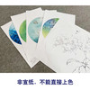 李晓明工笔花鸟画白描底稿牡丹蝴蝶一套四幅册页初学者尺寸40×40厘米TW03 商品缩略图3