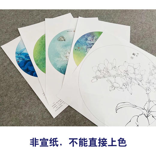 李晓明工笔花鸟画白描底稿牡丹蝴蝶一套四幅册页初学者尺寸40×40厘米TW03 商品图3