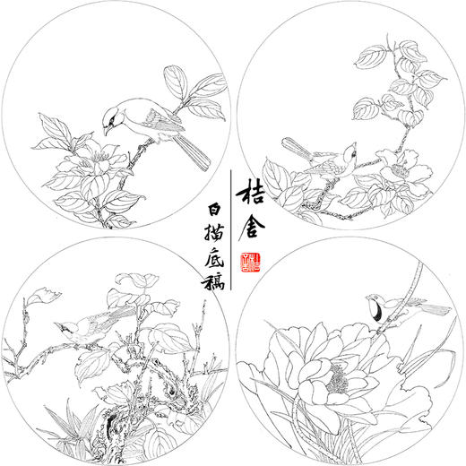 戴青池工笔画白描底稿荷花翠鸟一套四幅初学者尺寸35*35厘米TD05 商品图1