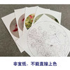龚雪青工笔画白描底稿鲤鱼牡丹一套四幅初学者尺寸40×40厘米TG01 商品缩略图2
