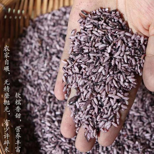 【低脂粗粮丨紫米】来自离天空最近的墨江！老品种 梯田种植 山泉水浇灌 0农残  富含花青素 口感香糯！一份4斤！【DZ-J仓】 商品图2
