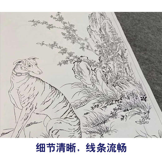 郎世宁工笔动物画白描底稿斑锦彪雪爪庐小品一套十幅册页尺寸40*60厘米GG01 商品图4