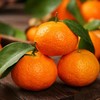 砂糖橘 商品缩略图0