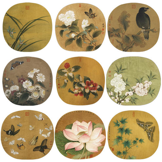 李晓明工笔花鸟画白描底稿蝴蝶荷花小品一套九幅册页初学者尺寸35×38厘米TW07 商品图0