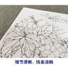 李晓明工笔花鸟画白描底稿葡萄牡丹小品一套四幅册页初学者尺寸42×42厘米TW01 商品缩略图4