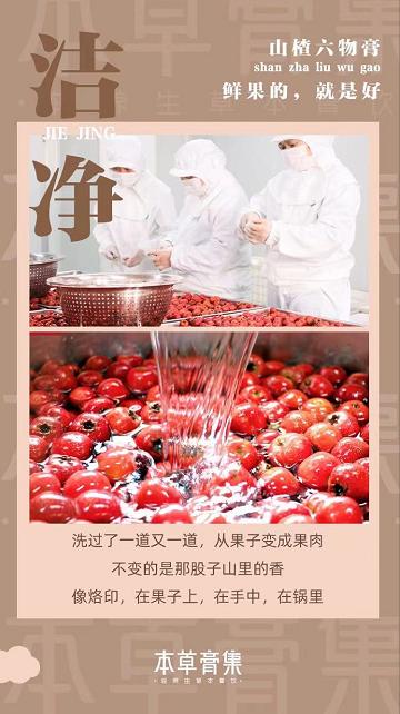 山楂六物膏 商品图10