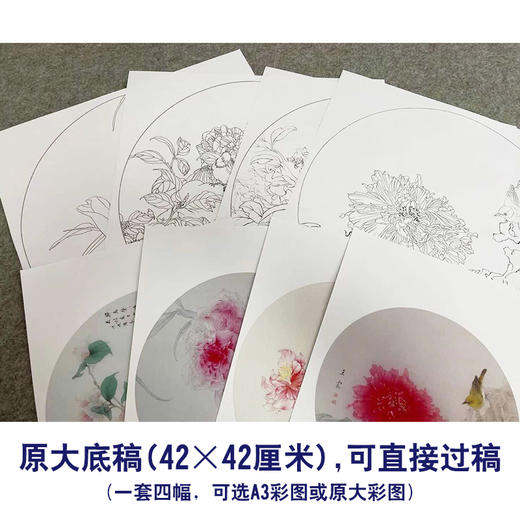 王震工笔花鸟画白描底稿牡丹翠鸟小品一套四幅册页初学者尺寸42×42厘米TA04 商品图2