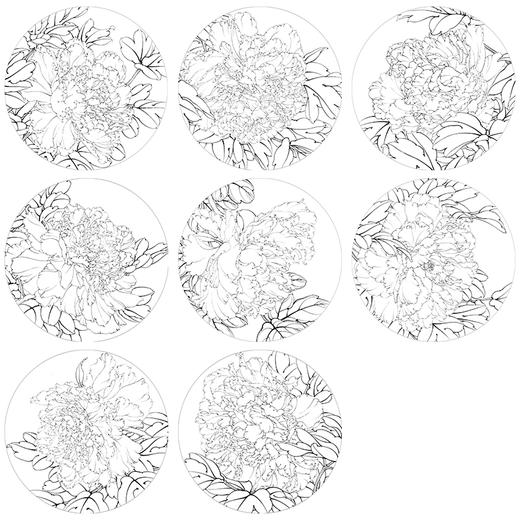 李晓明工笔花鸟画白描底稿牡丹一套八幅册页尺寸35×35厘米花鸟线稿KF21 商品图1
