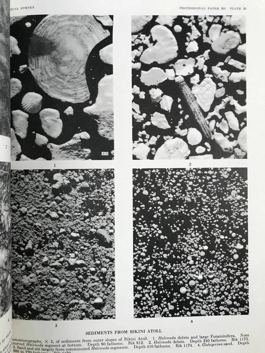 比基尼岛与附近环礁地质学 157幅插图（含多张展开图纸） 平装大16开带书匣 商品图6