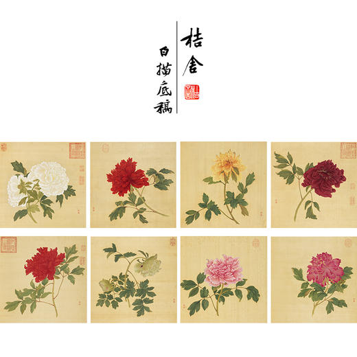 蒋廷锡工笔花鸟画白描底稿牡丹谱小品一套十幅册页初学者尺寸40*40厘米JT00 商品图0