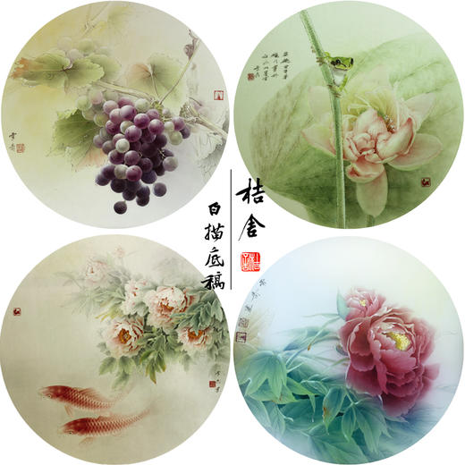 龚雪青工笔画白描底稿葡萄荷花一套四幅初学者尺寸42*42厘米TG02 商品图0