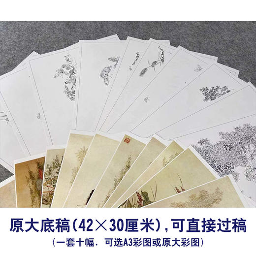 俞致贞工笔花鸟画白描底稿-百蝶图-蝴蝶小品一套十幅册页初学者尺寸42*30厘米BH00 商品图2