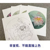 杨冬冬工笔画白描底稿荷花蝴蝶一套四幅初学者尺寸35×35厘米TY01 商品缩略图3