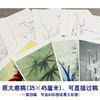 李晓明工笔画白描底稿梅兰竹菊一套四幅册页尺寸35×45厘米KF24 商品缩略图3