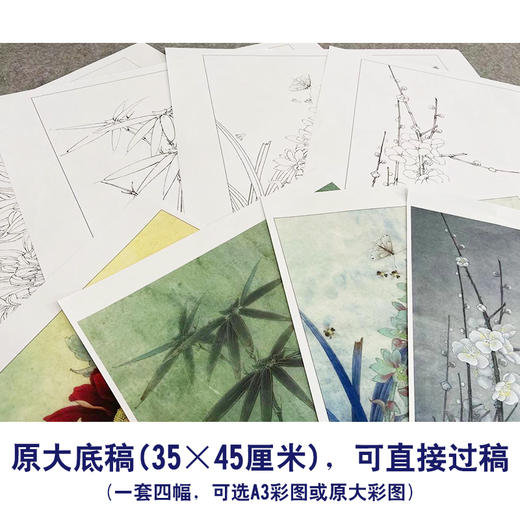 李晓明工笔画白描底稿梅兰竹菊一套四幅册页尺寸35×45厘米KF24 商品图3