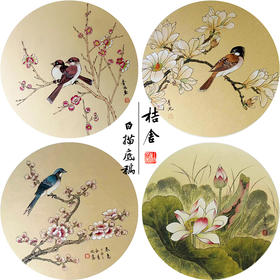 戴青池工笔画白描底稿荷花一套四幅初学者尺寸35*35厘米TD07