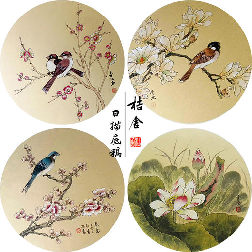 戴青池工笔画白描底稿荷花一套四幅初学者尺寸35*35厘米TD07 商品图0