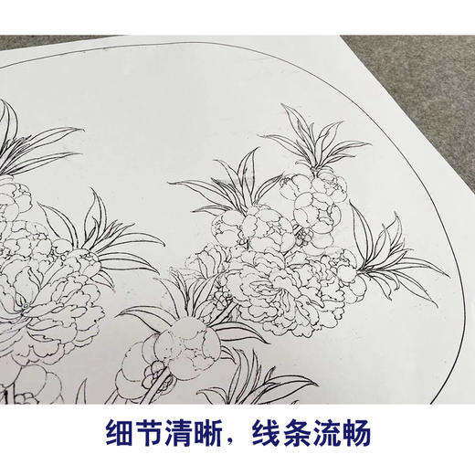 李晓明工笔花鸟画白描底稿蝴蝶荷花小品一套九幅册页初学者尺寸35×38厘米TW07 商品图4