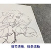陈洪绶工笔画白描底稿花鸟草虫册小品一套十二幅册页尺寸30*40厘米MT01 商品缩略图4
