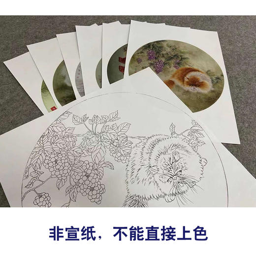 李保山工笔画白描底稿熊猫狗一套六幅初学者尺寸42×42厘米TB01 商品图3