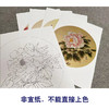 戴青池工笔画白描底稿牡丹翠鸟一套四幅初学者尺寸35*35厘米TD03 商品缩略图3